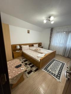Casa de vacanța Tara - 6