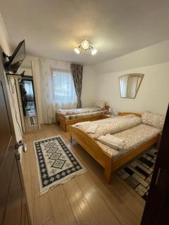 Casa de vacanța Tara - Rau Sadului - 5