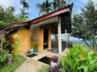 Rainforest Nature House - Deniyaya - 9