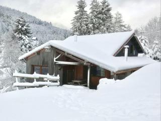 Chalet confortable, proche des pistes de ski, avec jardin, terrasses couvertes et Wi-Fi à La Bresse - FR-1-589-86 - La Bresse - 7