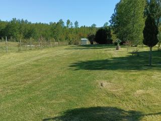 Casa Cudico bajo- Lican ray - 6