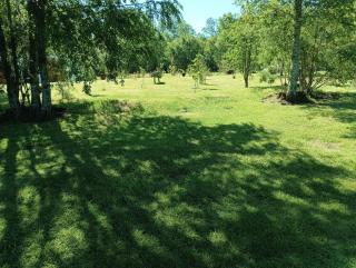 Casa Cudico bajo- Lican ray - 5