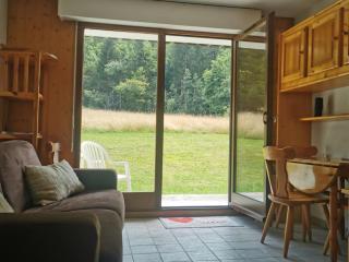Studio lumineux avec terrasse, proche remontées mécaniques - Logement 3 personnes à Châtel - FR-1-676-180 - Châtel - 5