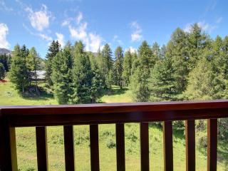 Studio divisible au pied des pistes avec balcon, WiFi et lave-linge - FR-1-455-250 - La Plagne Tarentaise - 1