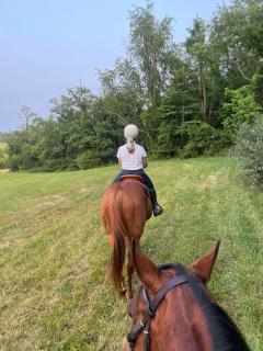 Ultimate Horse Experience - Crozet - 9