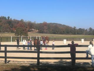 Ultimate Horse Experience - Crozet - 2