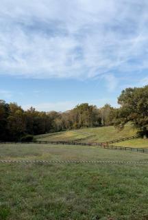 Ultimate Horse Experience - Crozet - 1