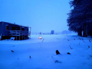 NEU Luxuriöses Tinyhaus Ferienhaus FREYR einmalig in Lübbenau - 3