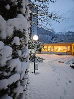 Familien Apartmenthotel Panoramic - Bad Lauterberg - 6