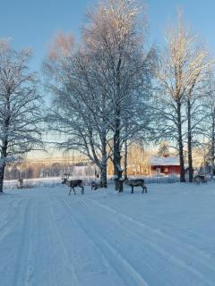 Bed & Breakfast Willa Armas - Övertorneå - 2