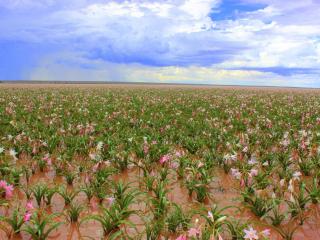 Maltahöhe Self Catering - 1