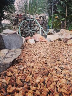 Its Practical Holidays - 1