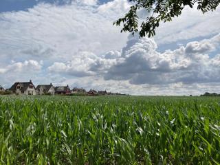 Ferienhaus Strandräuber - Zierow - 6