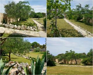 Mandrina House - Mandre - 8