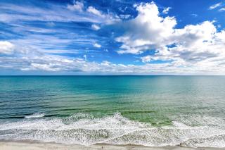 Carolinian Beach Resort 1733 - Myrtle Beach - 7