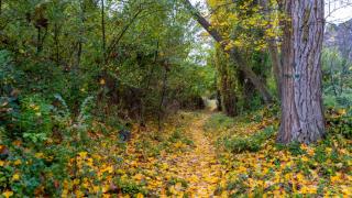 Casa Rural El Botánico - 7