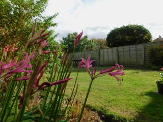 Little Lodge - Sheringham - 6