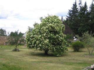 Ferienwohnung Bergschäferei - 3