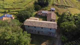 Casa Vespina Agriturismo Biologico - Orvieto - 9