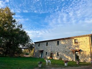 Casa Vespina Agriturismo Biologico - Orvieto - 6