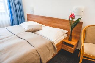 Hotel u České koruny - 8