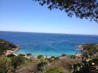 Splendida vista sul golfo di Cavoli - Cavoli - 0