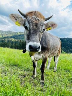 Ferienwohnung Amethyst - 6