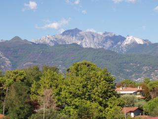 Hotel La Primula - Forte dei Marmi - 9