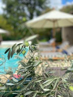Villa Florence - Alet-les-Bains - 5