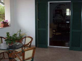 Hotel La Primula - Forte dei Marmi - 5