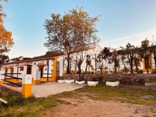 Complejo Rural Los Molinos - - 8
