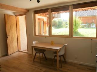 Studio 2 personnes - lumineux - Lac d'Annecy - Lathuile - 9