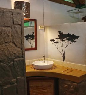 Thornicroft Lodge - South Luangwa - 1