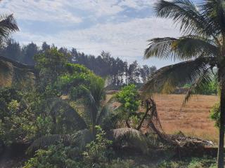 Kshudha-Shanti Homestay (MTDC-Approved) - Ratnagiri - 9