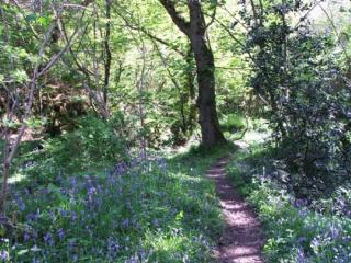 Y Caban at Wig Farm near Llangrannog - 5
