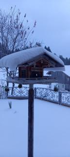 Apartment Eckstoa - 2