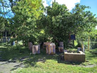 Cabaña los sauces - 1