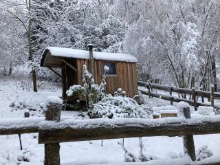 Arabian Harmony herzlich und familiär - 7