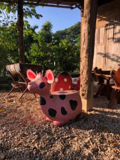 Lampang homestay2 - Lampang - 6