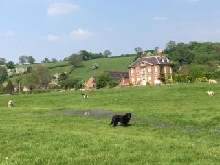 Peak District Manor House close to Alton Towers - Mapleton - 4