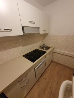 Welcome home - Timişoara - 2