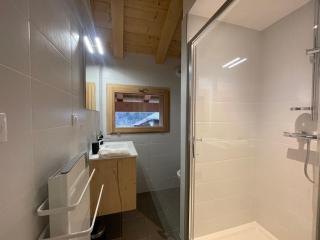 Chalet de standing avec parking à Sixt-Fer-à-Cheval - FR-1-624-132 - 1