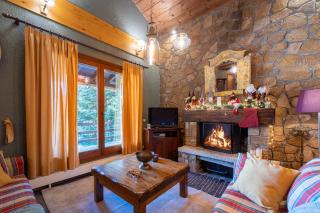 Dandy on the hill Chalet Artemis - Fir Forest - Jeep & Nature Lovers - Eptalofos - 8