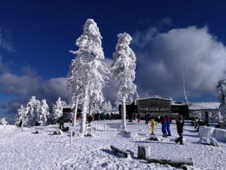 Fewo Hexentanz - Braunlage - 1