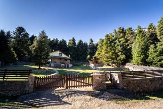 Dandy on the hill Chalet Artemis - Fir Forest - Jeep & Nature Lovers - Eptalofos - 9