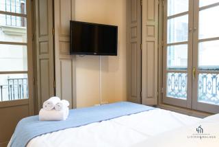 Living4malaga Suite San Francisco - Málaga - 5