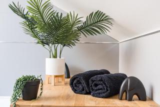 Jungle Chic - Bourgoin - 5