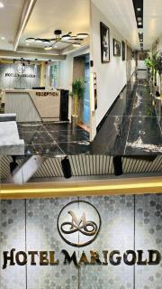 Hotel Marigold Naroda - Ahmedabad - 2