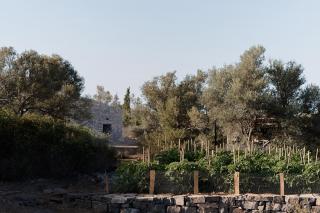Village Heights Resort - Hersonissos - 1