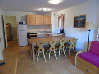 Valfréjus : Appartement familial 8 pers, 3 pièces, animaux admis - FR-1-561-55 - Valfréjus - 0